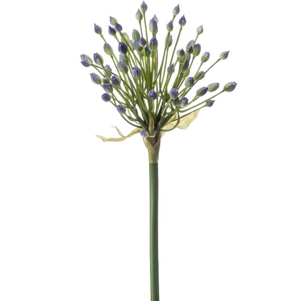 Emerald Allium/Sierui kunstbloem - 2x - losse steel - blauw - 70 cm - Natuurlijke uitstraling - Kunstbloemen