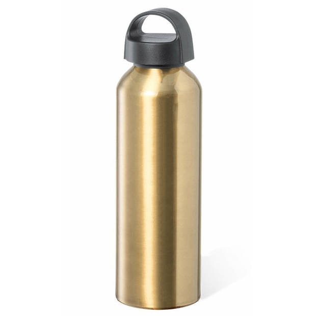 Bellatio Design Waterfles/drinkfles/sportfles - 2x - metallic goud - aluminium - 800 ml - schroefdop - Drinkflessen