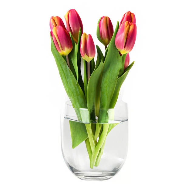 Bloemenvaas Karel - helder transparant glas - D27 x H27 cm - decoratieve vaas - bloemen/takken - Vazen