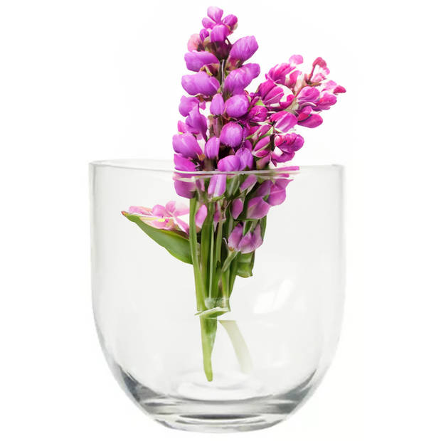 Bloemenvaas Karel - helder transparant glas - D19 x H19 cm - decoratieve vaas - bloemen/takken - Vazen