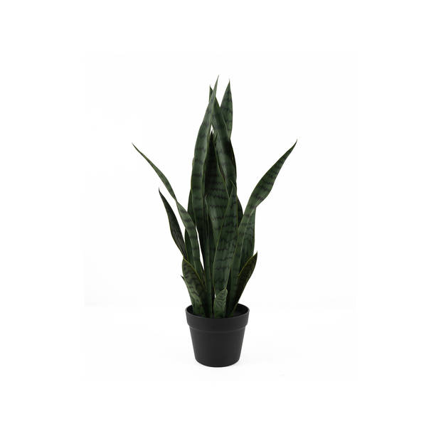 Present Time - Kunstplant Sansevieria - Donkergroen