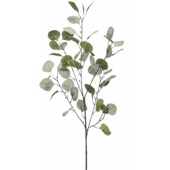 Emerald Kunstbloem Eucalyptus tak - 87 cm - groen - Kunstbloemen