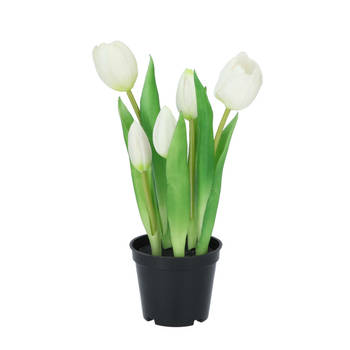 DK Design Kunst tulpen Holland in pot - 5x stuks - wit - real touch - 26 cm - Kunstbloemen