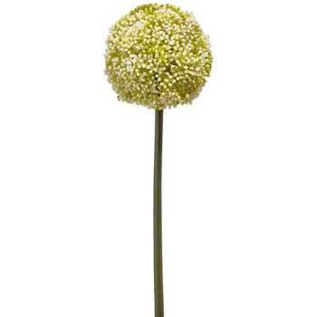 Emerald Allium/Sierui kunstbloem - losse steel - wit/groen - 75 cm - Natuurlijke uitstraling - Kunstbloemen