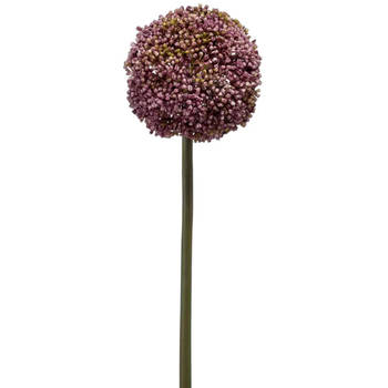 Emerald Allium/Sierui kunstbloem - losse steel - paars - 75 cm - Natuurlijke uitstraling - Kunstbloemen