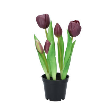 DK Design Kunst tulpen Holland in pot - 5x stuks - donker paars - real touch - 26 cm - Kunstbloemen