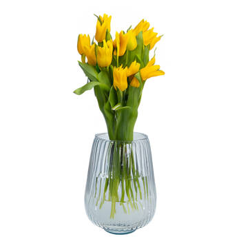 Bloemenvaas Amar - helder transparant glas - D25 x H29 cm - decoratieve vaas - bloemen/takken - Vazen