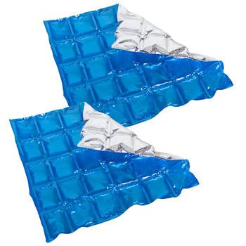 Herbruikbare flexibele koelelementen - 2x - icepack/ijsklontjes - 28 x 25 cm - blauw - Koelelementen