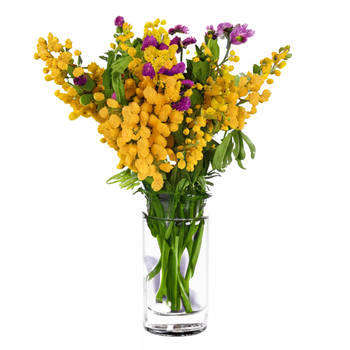 Bloemenvaas Anna - helder transparant glas - D11,5 x H20 - decoratieve vaas - bloemen/takken - Vazen