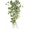 Emerald kunstplant/hangplant - Klimop/hedera - groen/wit - 70 cm lang - Kunstplanten