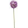 Emerald Allium/Sierui kunstbloem - losse steel - paars - 60 cm - Natuurlijke uitstraling - Kunstbloemen