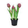 DK Design Kunst tulpen Holland in pot - 5x stuks - aubergine paars - real touch - 26 cm - Kunstbloemen