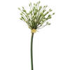 Emerald Allium/Sierui kunstbloem - losse steel - creme - 70 cm - Natuurlijke uitstraling - Kunstbloemen