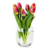 Bloemenvaas Karel - helder transparant glas - D27 x H27 cm - decoratieve vaas - bloemen/takken - Vazen