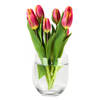 Bloemenvaas Karel - helder transparant glas - D23 x H23 cm - decoratieve vaas - bloemen/takken - Vazen