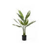 Present Time - Kunstplant Calathea - Groen