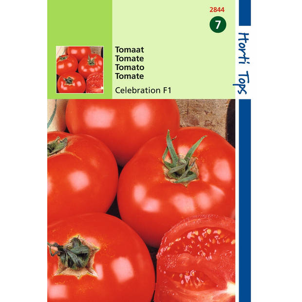 2 stuks - Hortitops - Tomaten Luxor Celebrity F1 Hybride