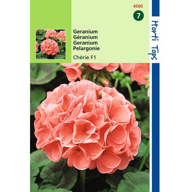 2 stuks - Hortitops - Pelargonium F1 Cherie Zalm Rose