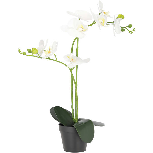 Blokker kunstplant Orchidee - 53cm - wit