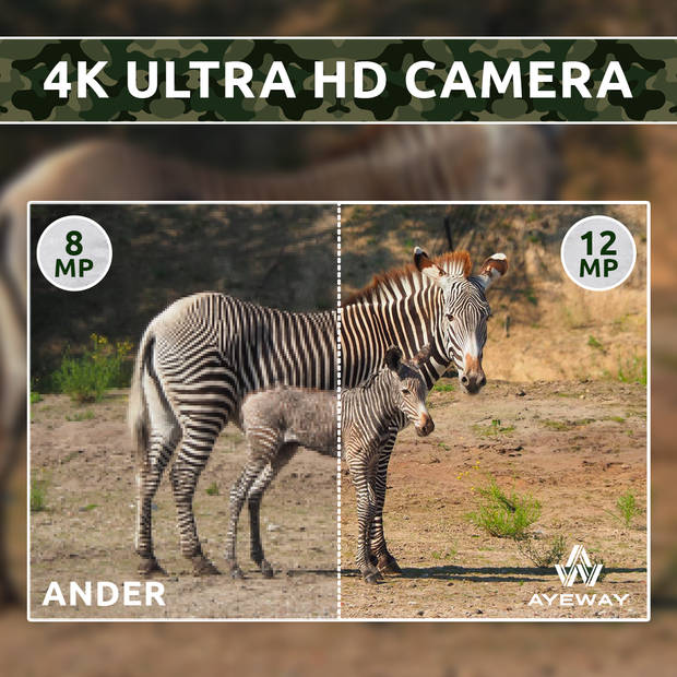 AyeCam Wildcamera - Draadloos - Wildcamera met Nachtzicht – Infraroodcamera – Inc. 32 GB SD Kaart