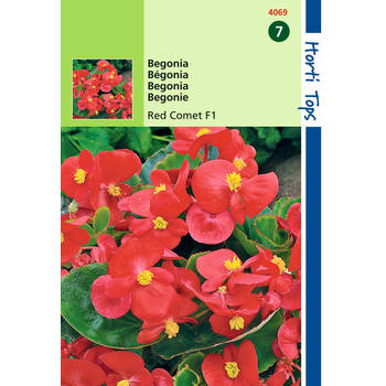 2 stuks - Hortitops - Begonia Semp. F1 Hybride Rode Komeet