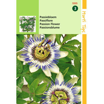 2 stuks - Hortitops - Passiflora Coerulea Passiebloem