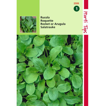 2 stuks - Hortitops - Rucola Coltivata Eruca Vesicaria Sativa