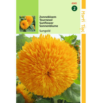 2 stuks - Hortitops - Helianthus Annuus Sungold Dubbelbl. Hoog