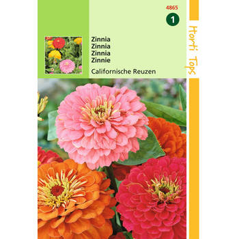 2 stuks - Hortitops - HT Zinnia Californische Reuzen gemengd