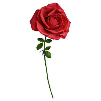 Grote Roos - XXL Rose