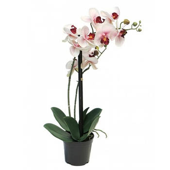 Nova Nature - Phalaenopsis Orchidee in pot 50 cm roze kunstplant