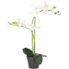 Blokker kunstplant Orchidee - 53cm - wit