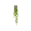 Emerald - Hoya kerrii vine 90 cm kunstplant