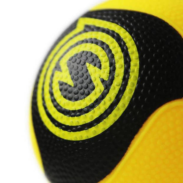 Spikeball Pro ballen 2-pack