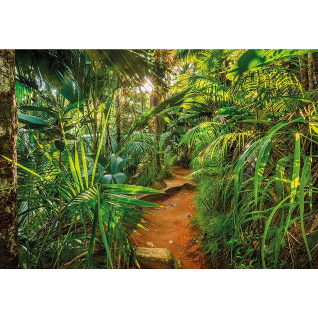 Fotobehang - Jungle Trail 368x254cm - Papierbehang