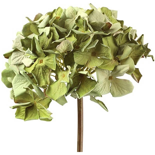 Kunstplant Hydrangea Groen 60 cm - Decoratieve tak