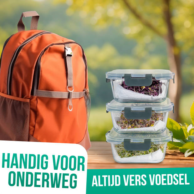 Avalo Vershoudbakjes Glas - Meal Prep Bakjes - Diepvriesbakjes - Met Deksel - 5 Delig 1060ml