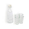 Stijlvolle Glazen Karaf en Drinkglas Set: 1 Liter Karaf en 4 Glazen van 250ML