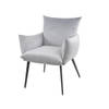 Hoyz Collection - Eetkamerfauteuil Lobby - Zilverkleurig Velours