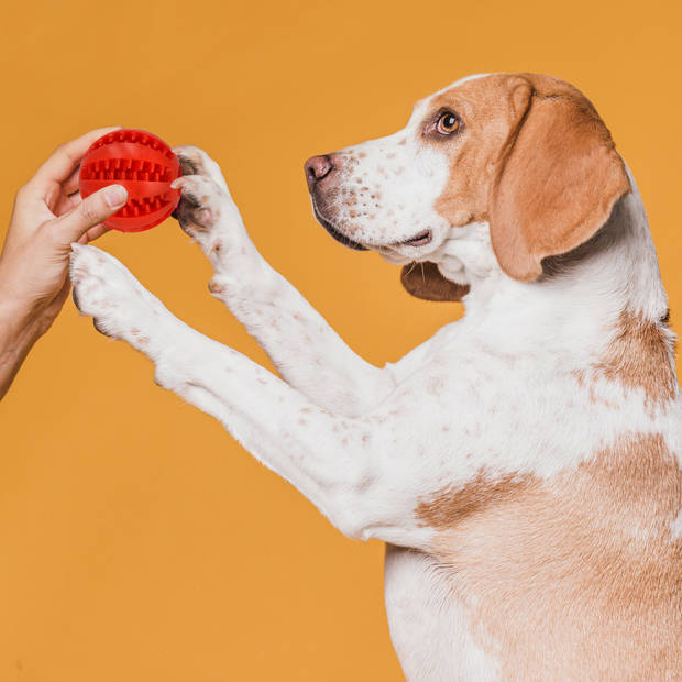 Springos Honden Snackbal - Voor Brokken - Eten - Duurzaam - Hondenspeeltje - Rood