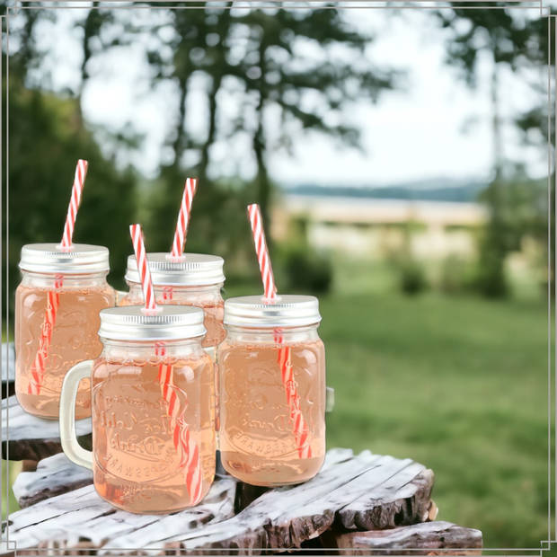 OTIX Mason jar - Drinkbeker - met Rietje - Set van 4 - Zilvere dop - 450 ml