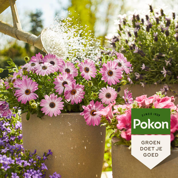 Pokon Terras & Balkon Planten Voeding - 500ml