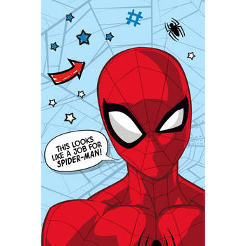 SpiderMan Fleeceplaid Web - 100 x 150 cm - Polyester