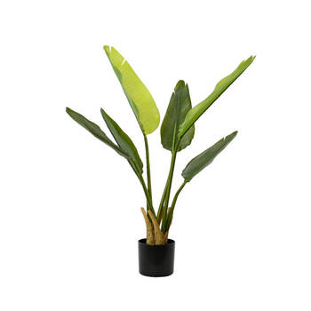 Kunstplant Strelitzia h90cm