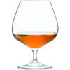 L.S.A. - Cellar Cognac Glas 600 ml Set van 6 Stuks - Glas - Transparant