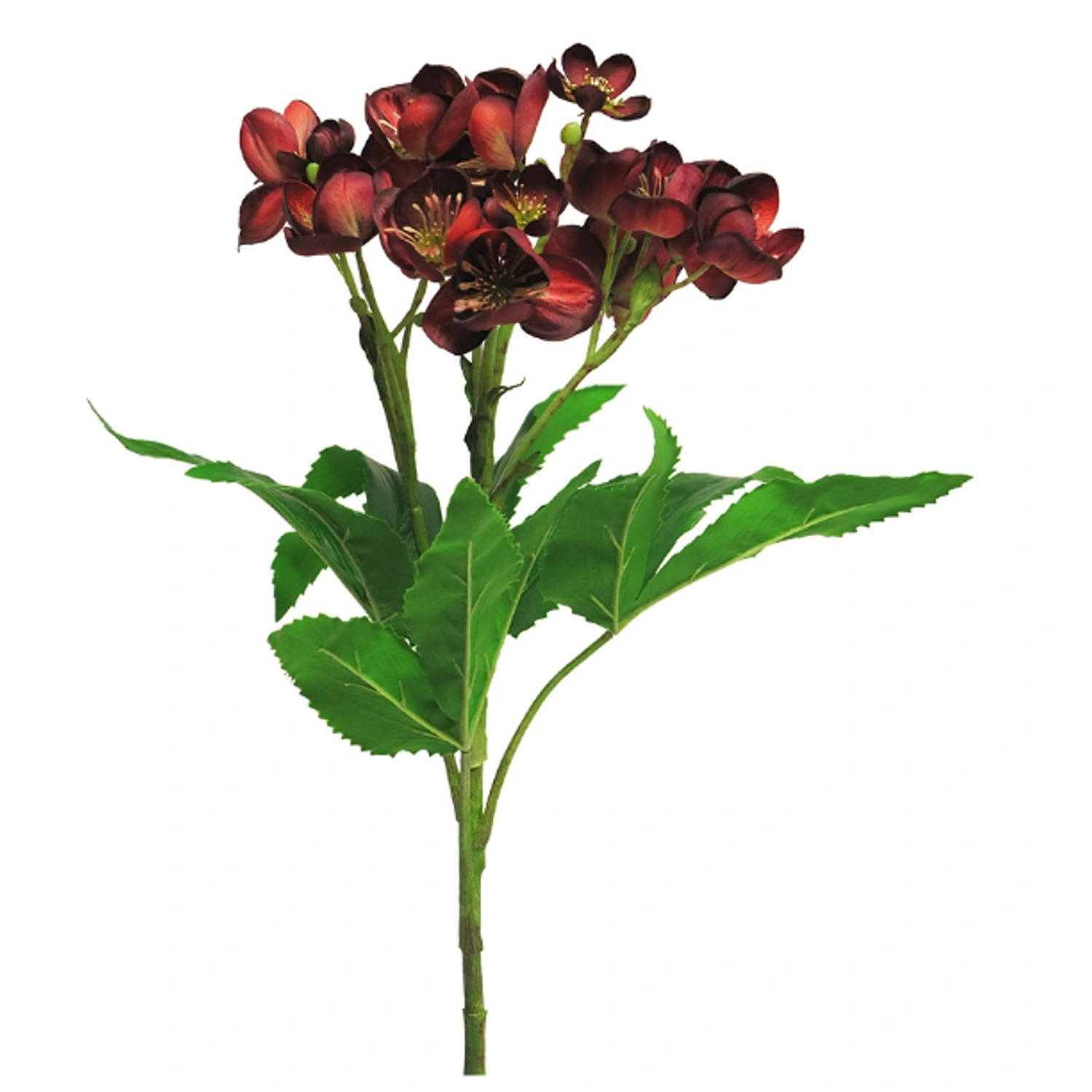 Buitengewoon de Boet Kunstbloem Helleborus niger spray red 59 cm