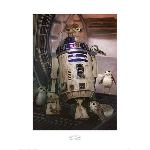 Kunstdruk Star Wars The Last Jedi R2D2 and Porgs 60x80cm