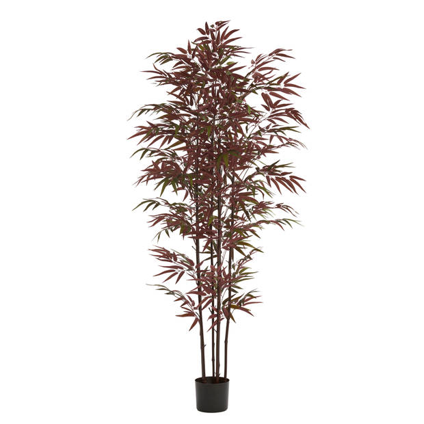 Light & Living - Kunstplant BAMBOO - 70x60x180cm - Groen