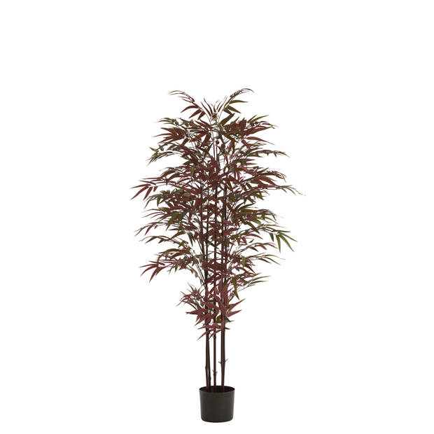 Light & Living - Kunstplant BAMBOO - 70x60x150cm - Groen