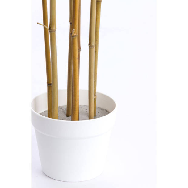 Light & Living - Kunstplant BAMBOO - 70x60x120cm - Bruin